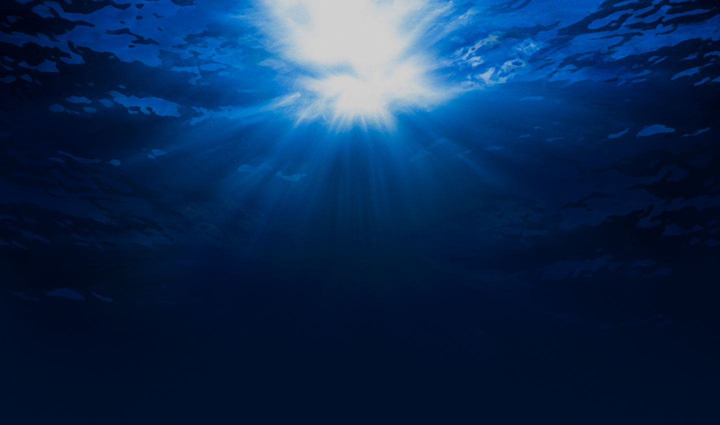 Wave Tracker