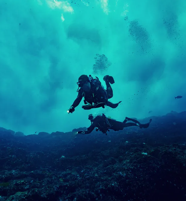 “AUF LORD HOWE ISLAND GIBT ES DIESE ERSTAUNLICH VIELFÄLTIGE TIERWELT.”