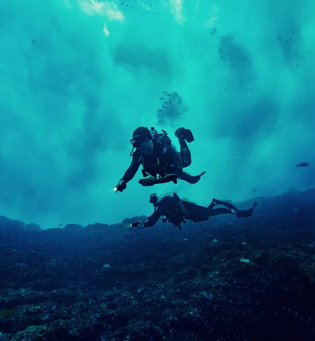 “LA ISLA DE LORD HOWE TIENE UNA ASOMBROSA  BIODIVERSIDAD SILVESTRE.”