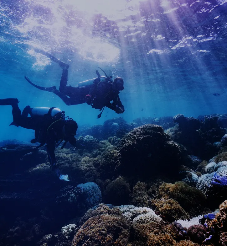 “THE OCEANIC HEAT WAVE THAT LORD HOWE EXPERIENCED THIS SUMMER WAS SOMETHING ELSE.”