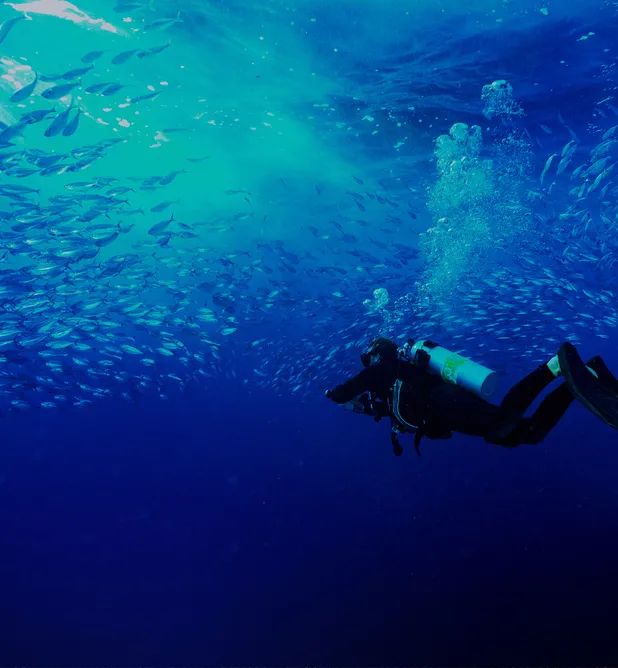 “L’ONDATA DI CALORE OCEANICO CHE HA COLPITO L’ISOLA DI LORD HOWE QUESTA ESTATE È STATA DIVERSA.”