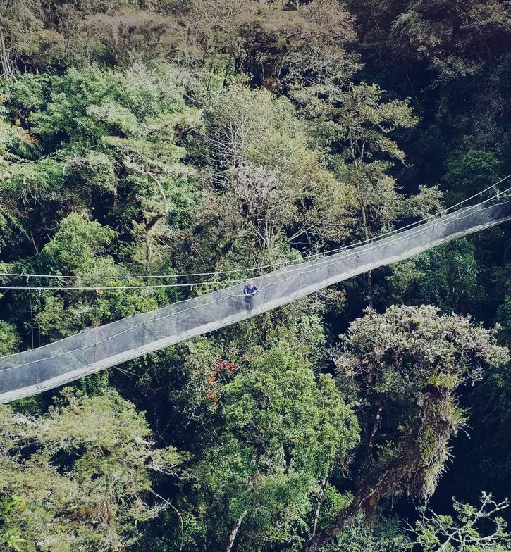 “亚马逊河就发源于 这些高海拔山脉。”