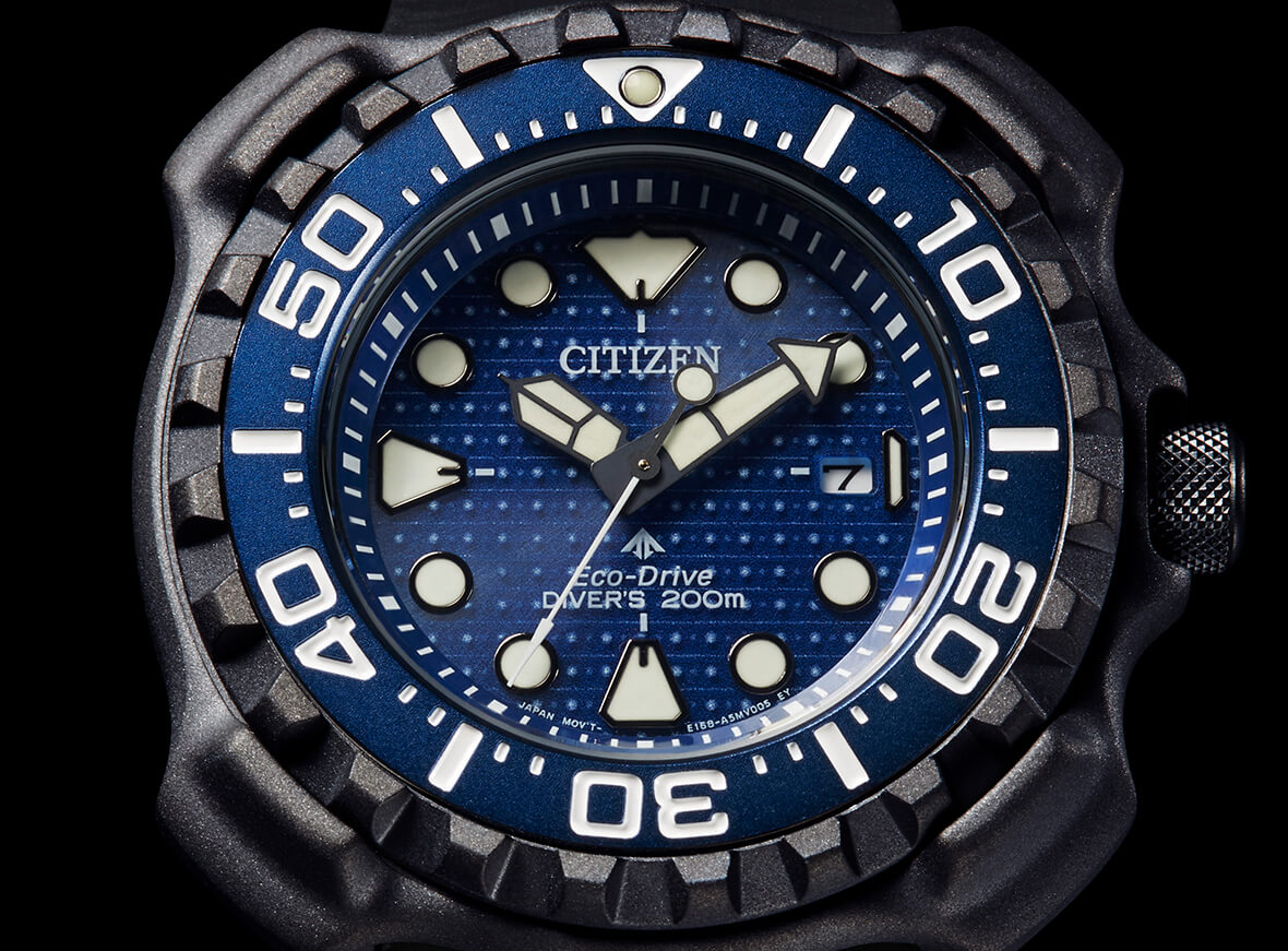 Incisione raffigurante lo squalo balena