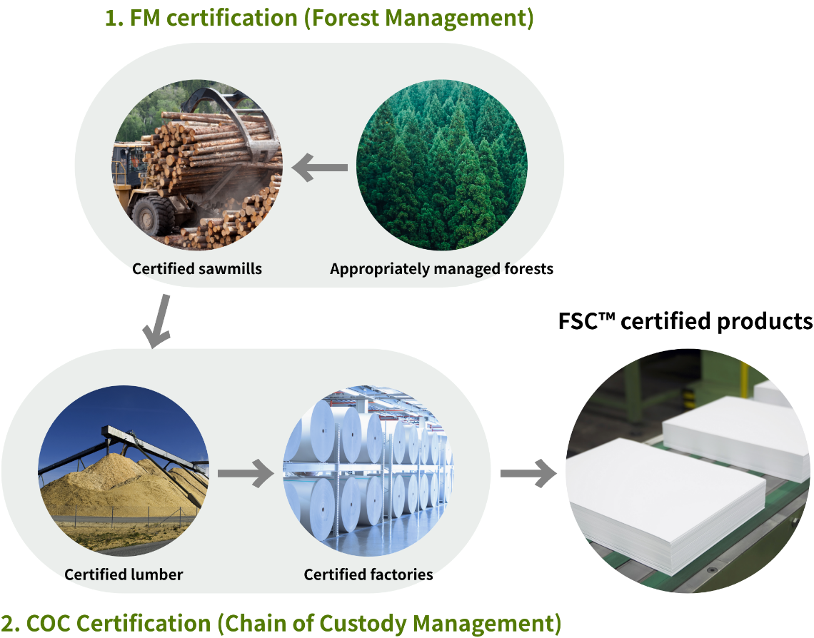 How the FSC System Works  Forest Stewardship Council